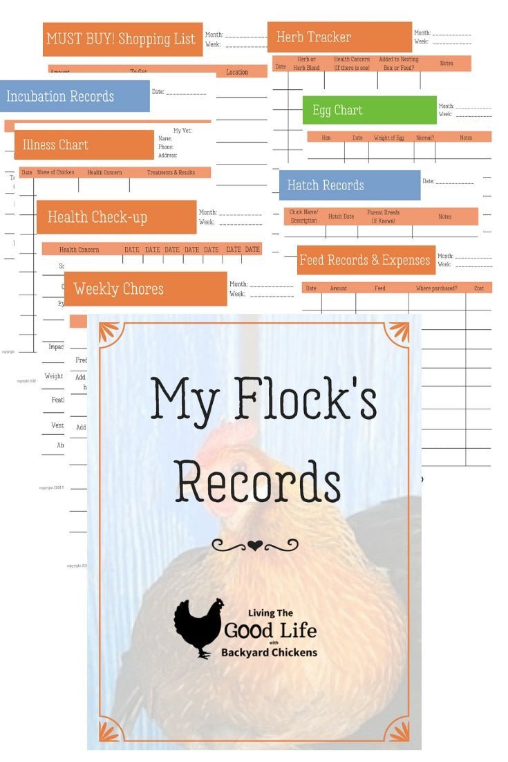Visual Reference: Mastering Backyard Chicken Health Why A Care Record Kit