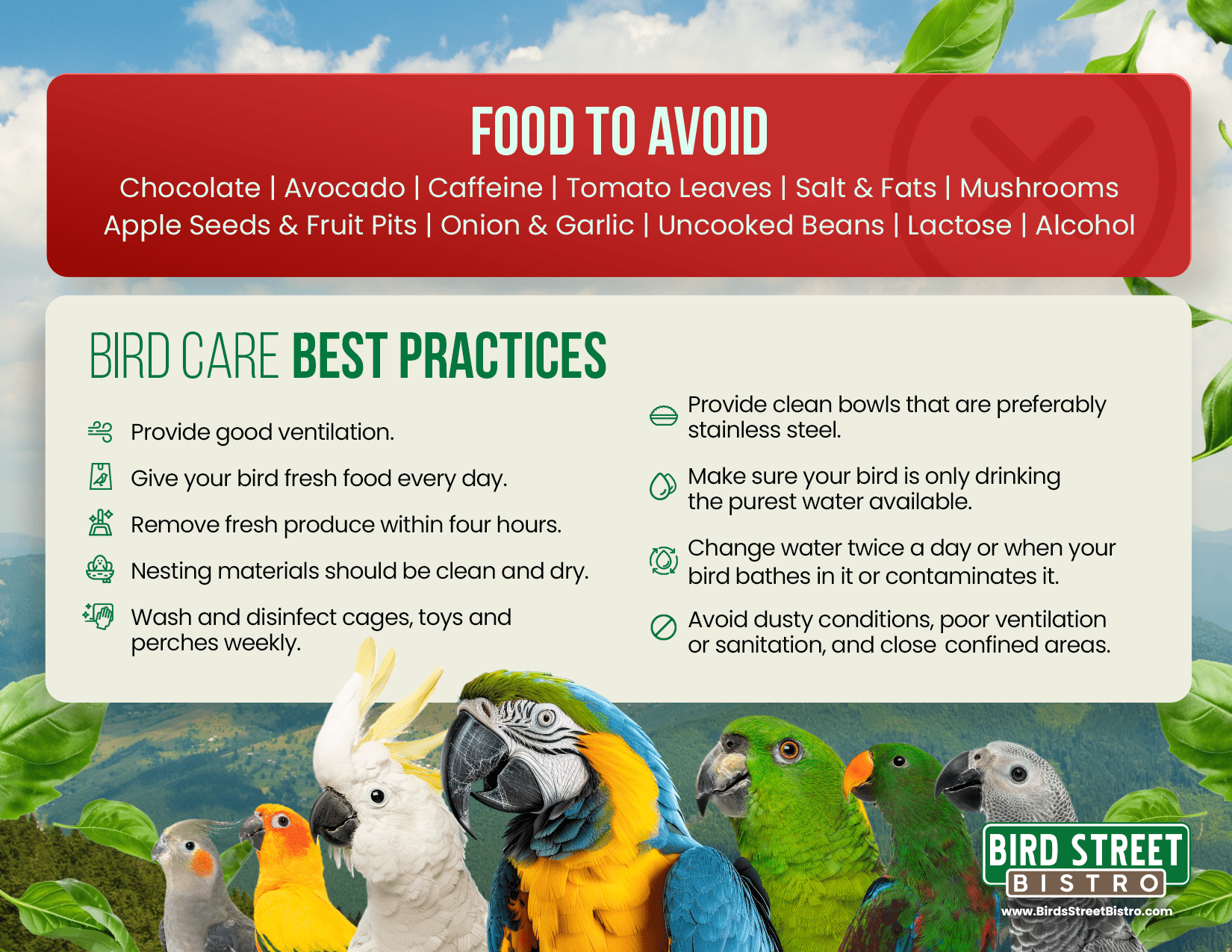 The Ultimate Guide to Parrot Care Fridge Magnet - Crazy K Farm Pet and Poultry