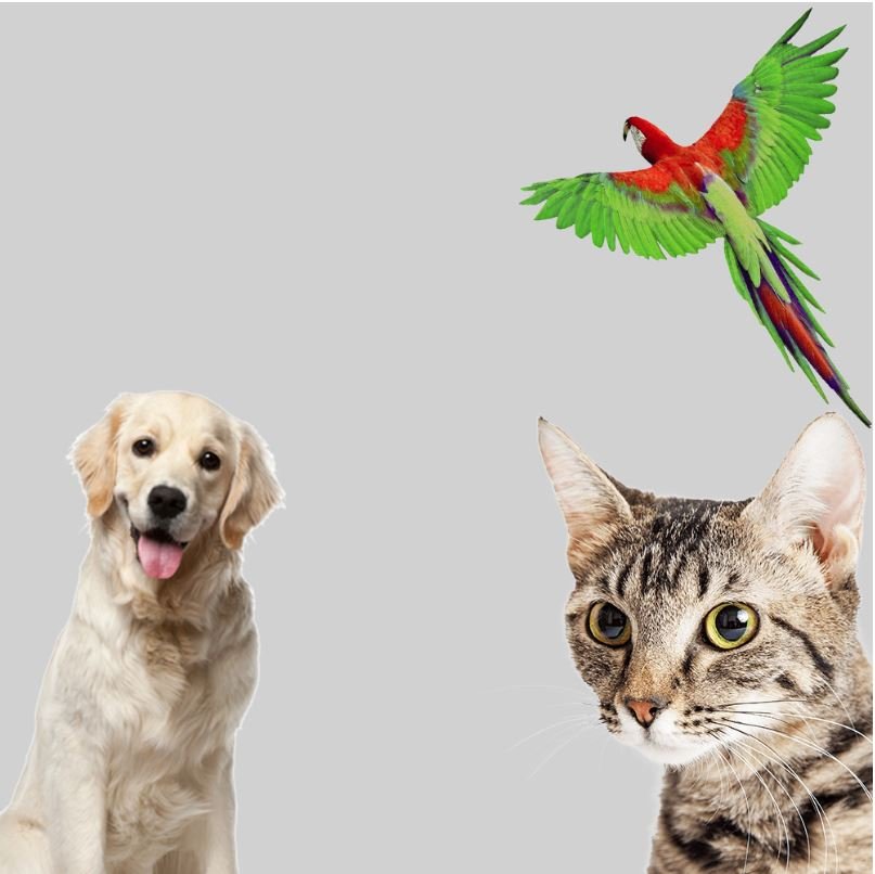 From Our Trusted Partners - Crazy K Farm Pet and Poultry