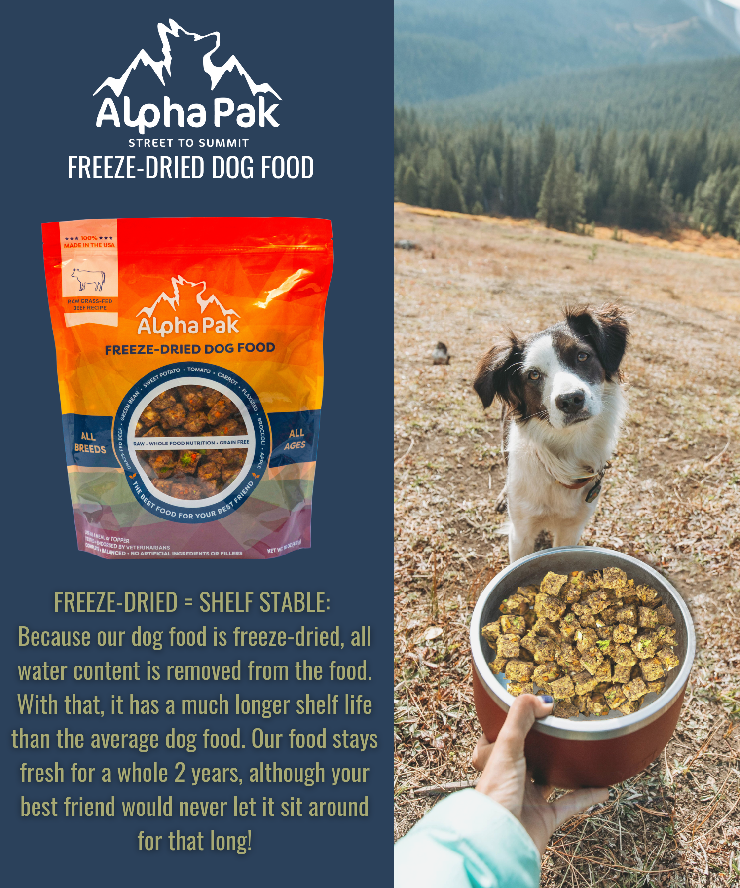 PREMIUM RAW FREEZE DRIED DOG FOOD