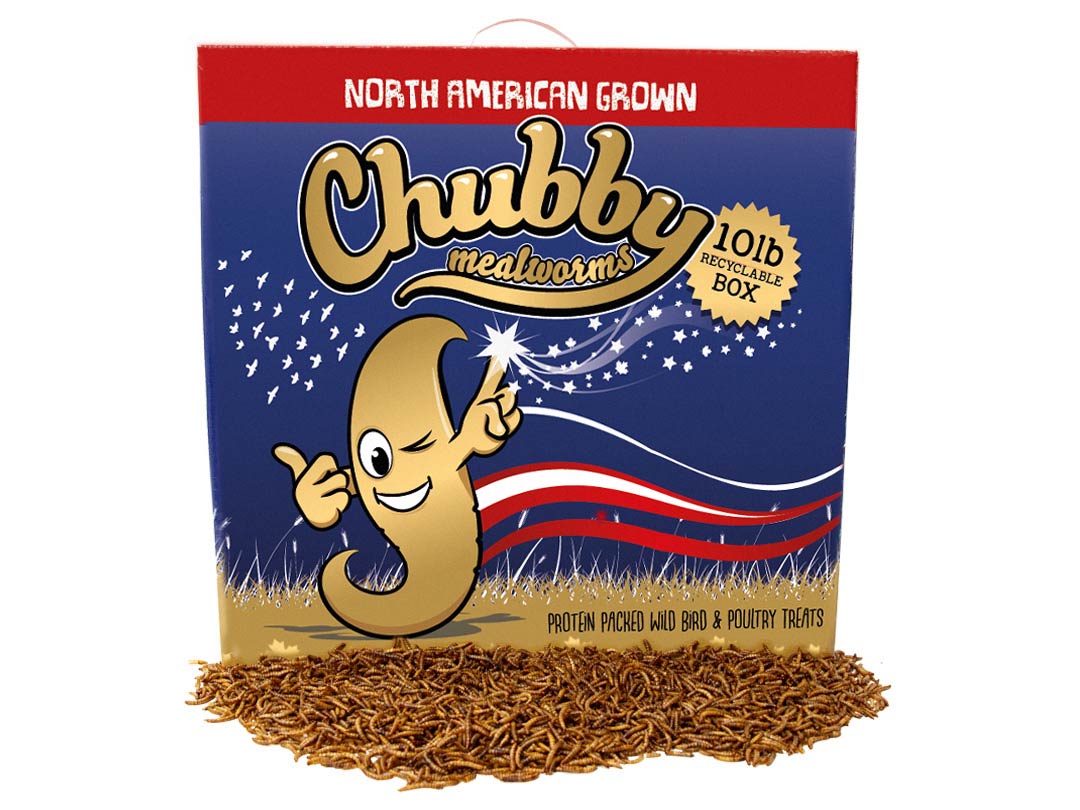 10Lbs Chubby North American Dried Mealworms Recyclable Box Non-GMO