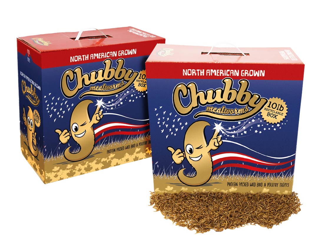 20Lbs Chubby North American Dried Mealworms Recyclable Boxes Non-GMO