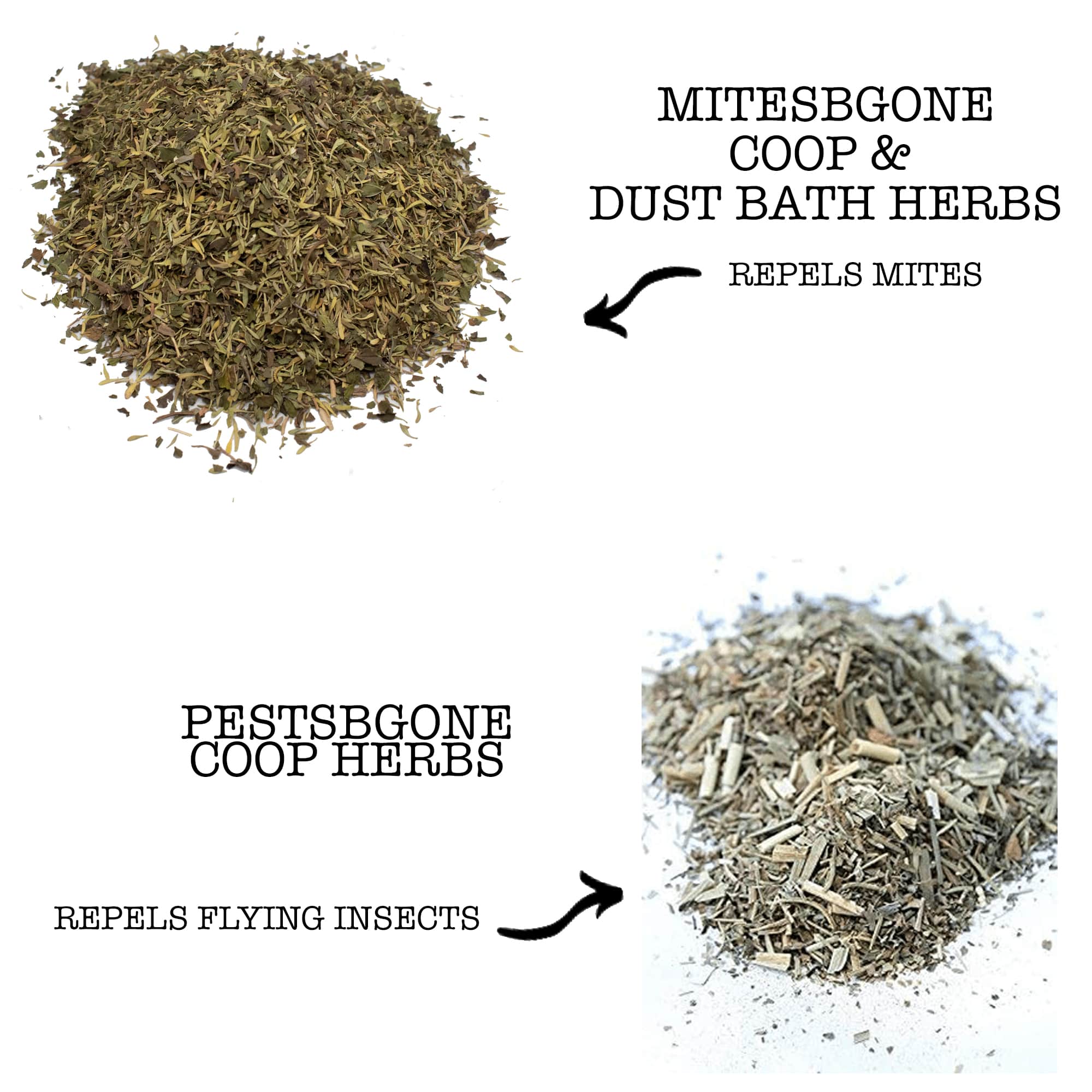 MitesBGone & PestsBGone Coop Herbs: Natural Chicken Coop Dust Bath Herbs to Repel Mites & Flying Pests