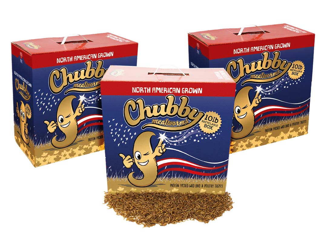30Lbs Chubby North American Dried Mealworms Recyclable Boxes Non-GMO