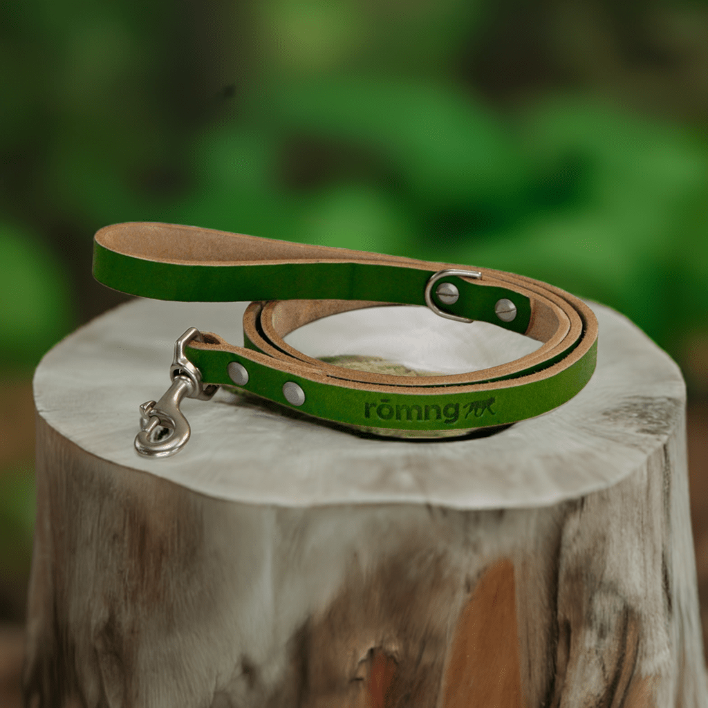 48" Genuine Leather Dog Leashes - Made in USA