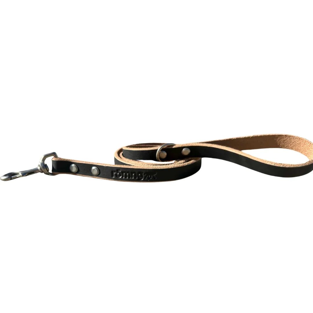 48" Genuine Leather Dog Leashes - Made in USA Matte Black