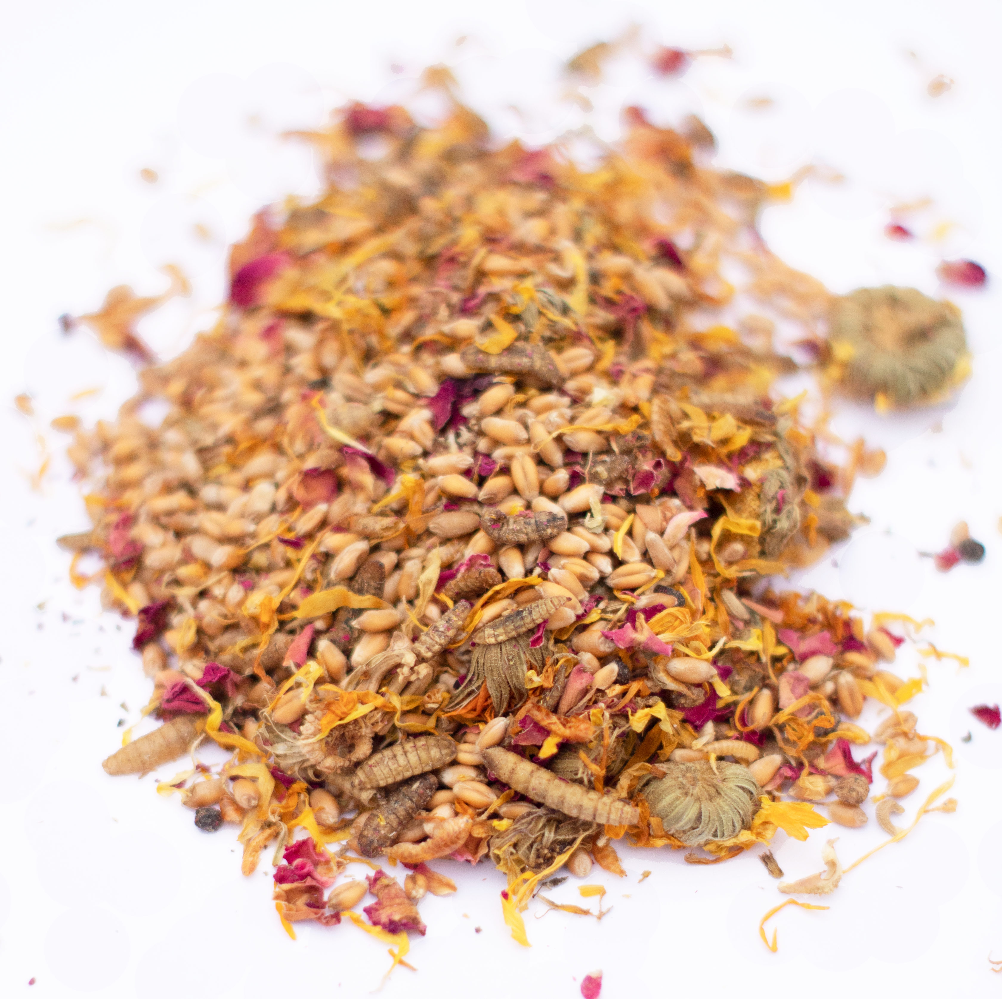 PowerHen (TM) High Protein Treat With Mealworms, Black Soldier Fly Larvae, & Herbs For Backyard Chickens