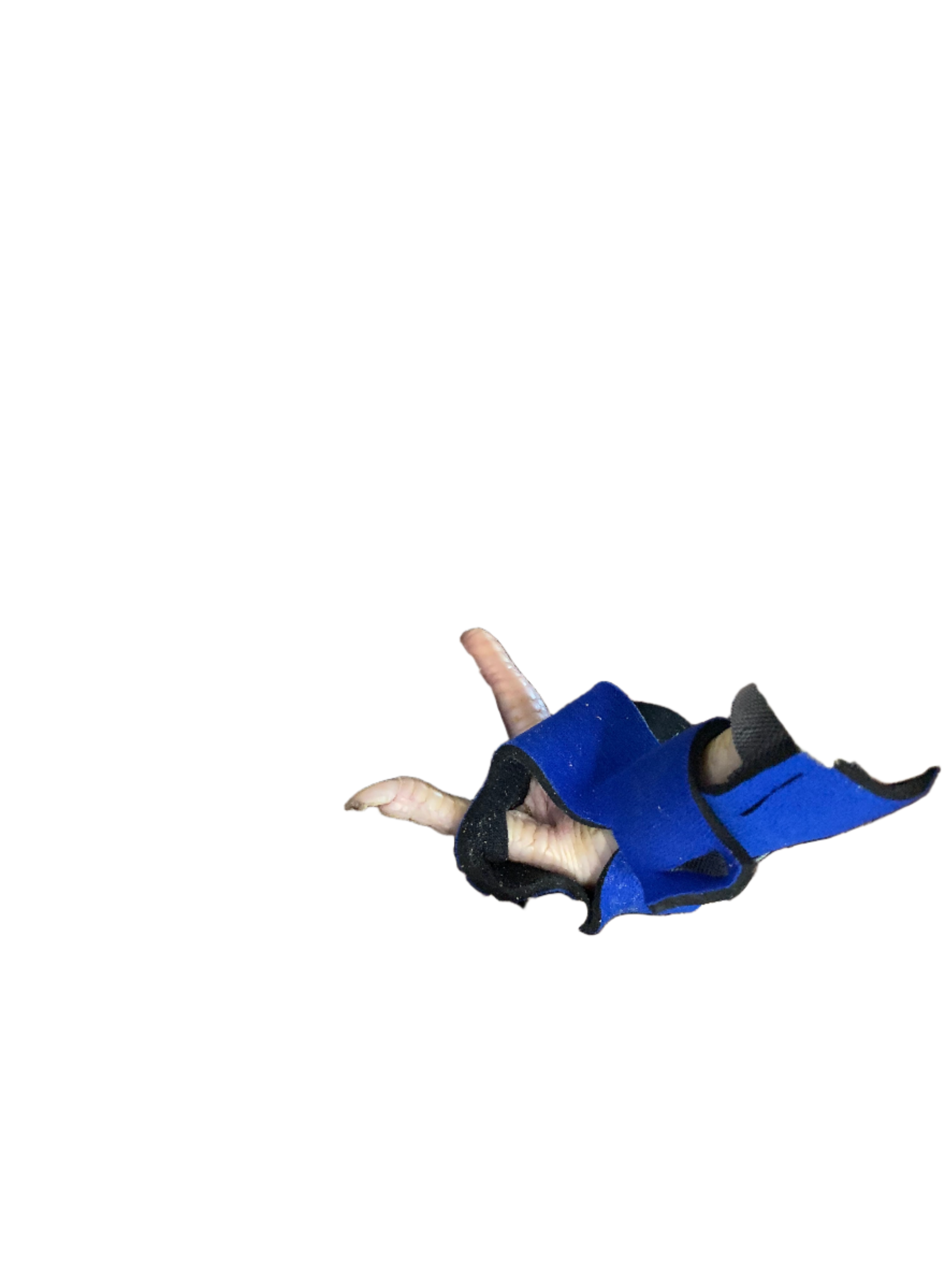 Birdy Bootie (chicken shoes, chicken booties, duck booties and goose shoes)