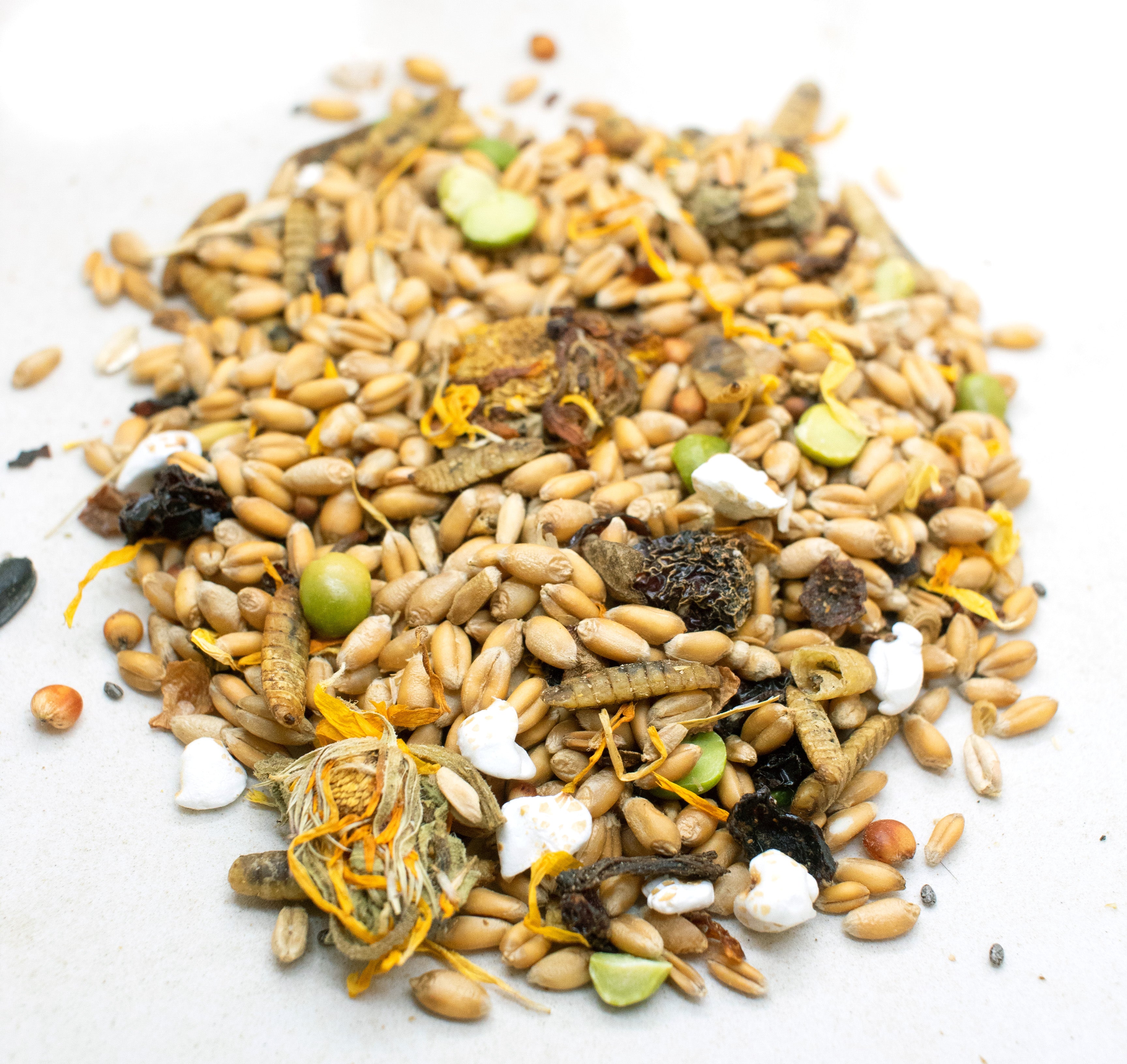 Chicken Foraging Treat - Natural Textured Feed with Larvae, Seeds, & Flowers | Crazy K Farm