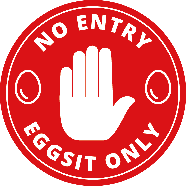 Hen Holster Bird Diaper/Harness (chicken diaper, duck diaper, pigeon diaper with Removable Vinyl Liner)