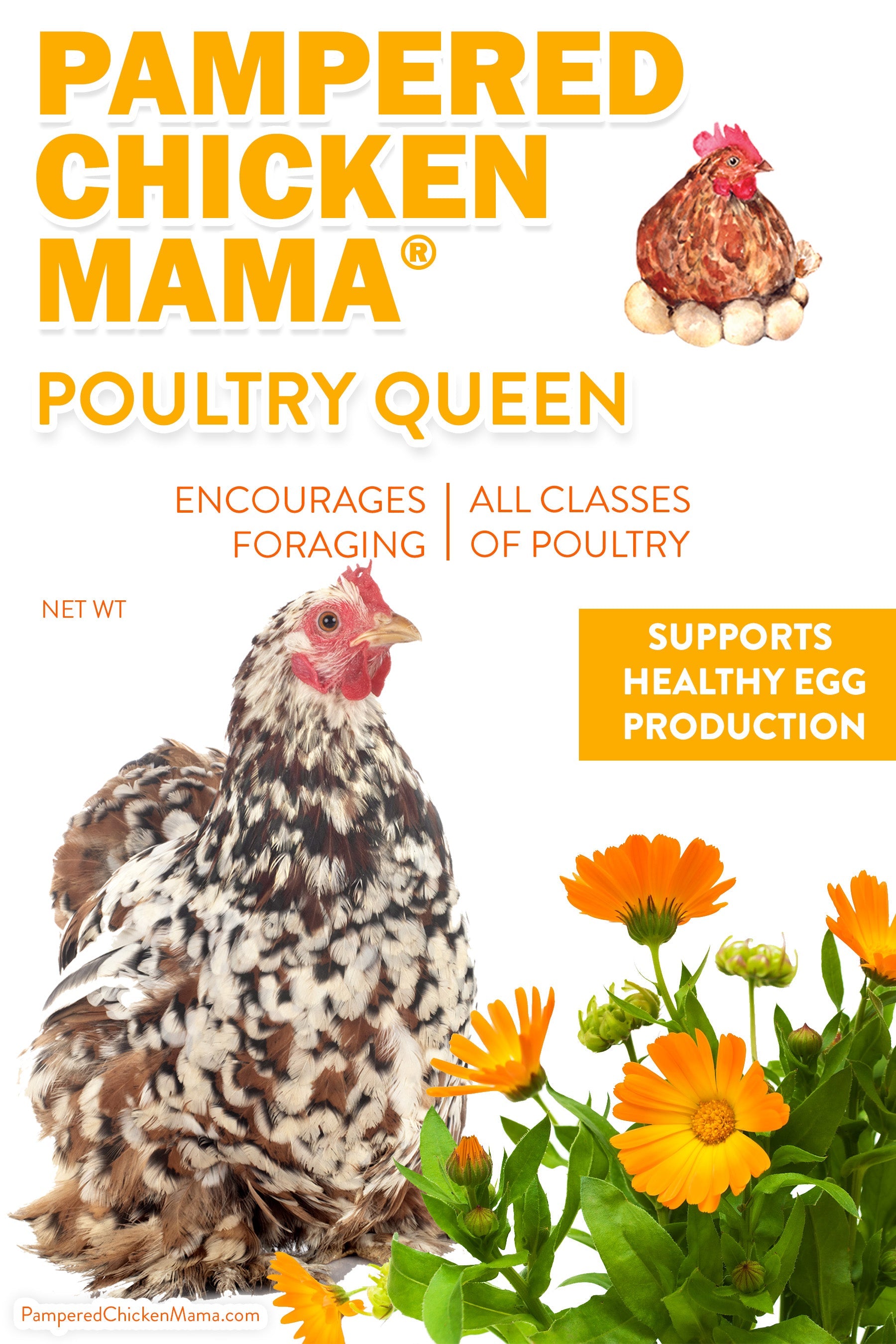Pampered Chicken Mama Poultry Queen - Premium Chicken Treats for Healthy Egg Production & Foraging.
