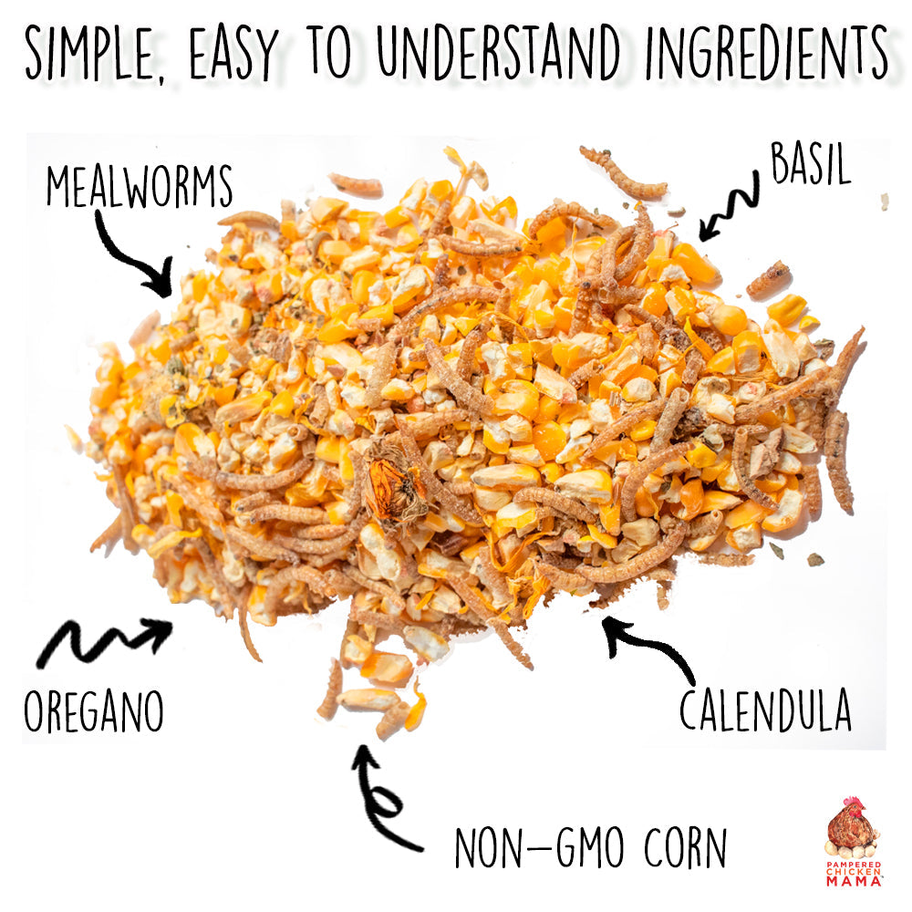 Chicken Treat Ingredients: Mealworms, Corn, Basil, Oregano, Calendula