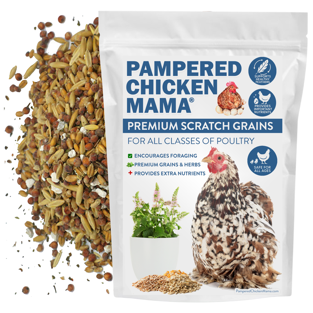 Premium Chicken Scratch With Herbs To Encourage Positive Behaviors