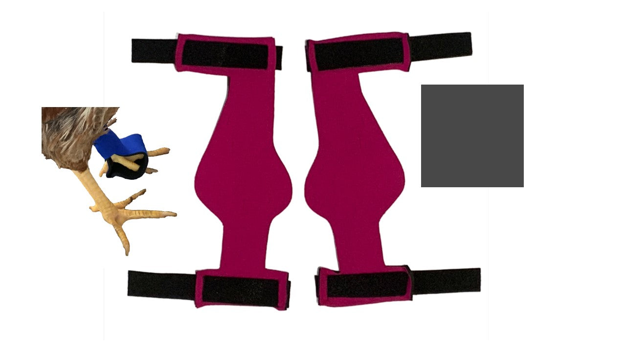 Birdy Bootie (chicken shoes, chicken booties, duck booties and goose shoes)