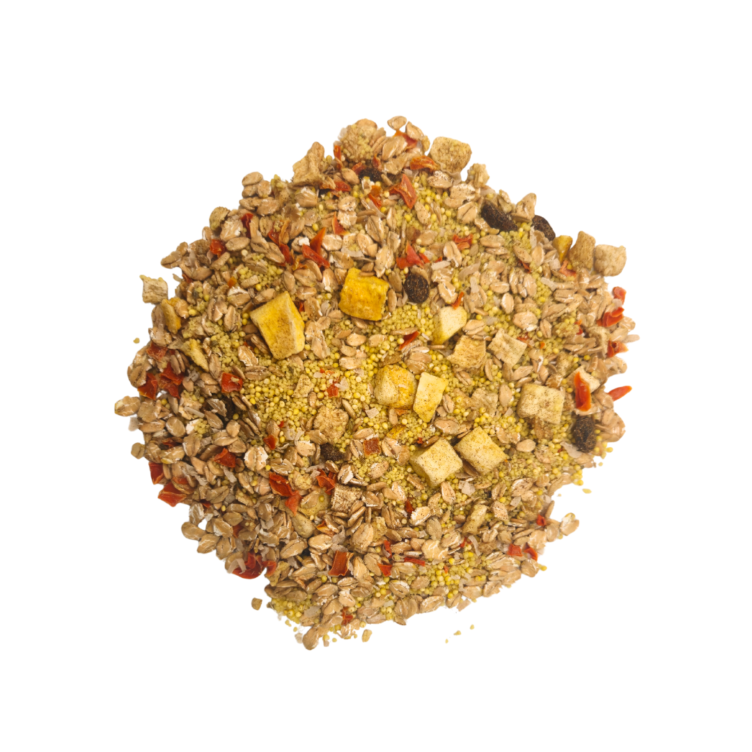 Tropical - Feast on the Fly