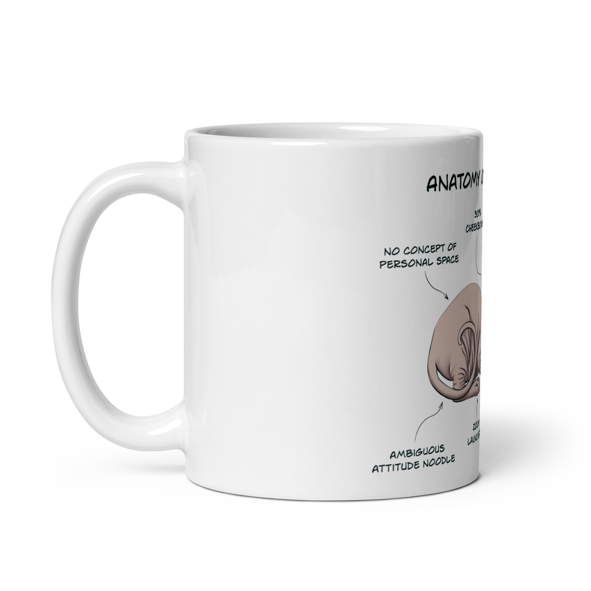 "ANATOMY OF A SPHYNX CAT" COFFEE MUG