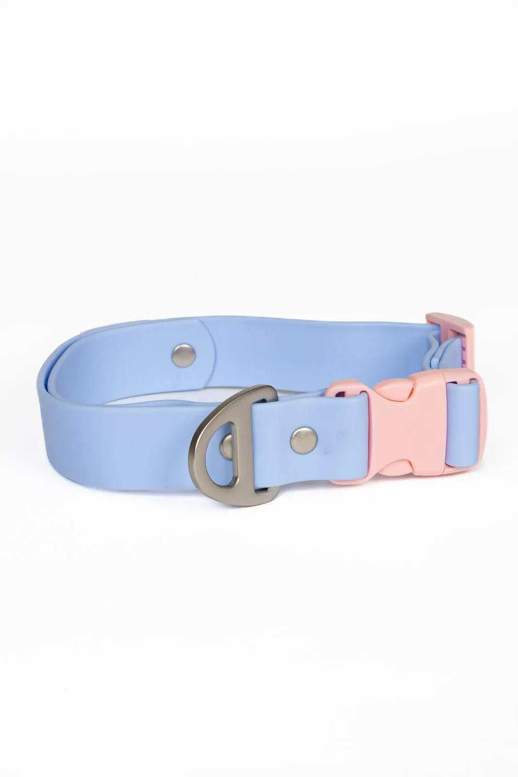Aria the Fox Blue Sky Orchid Waterproof Dog Collar Periwinkle Light Pink