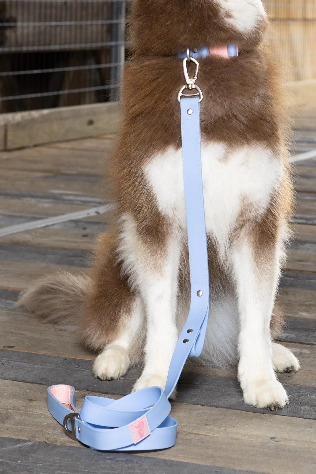 Aria the Fox Blue Sky Orchid Waterproof Leash