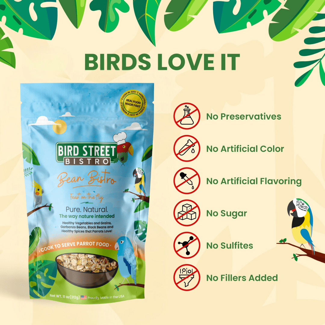 Bean Bistro Feast on the Fly