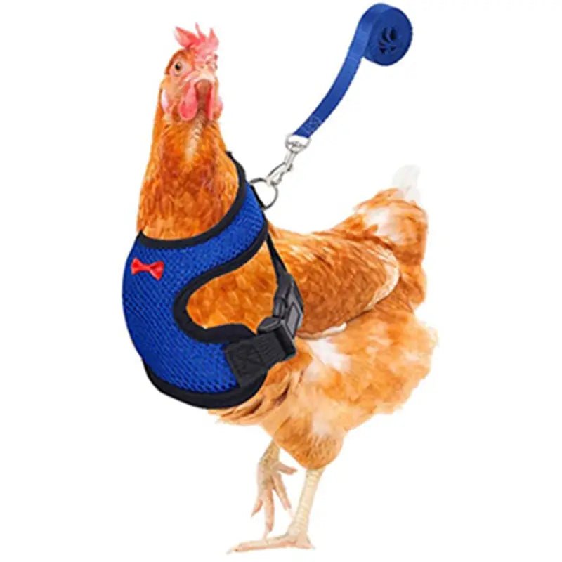 Breathable Adjustable Chicken Harness - Perfect for Ducks, Geese, and Other Poultry Pets BLUE