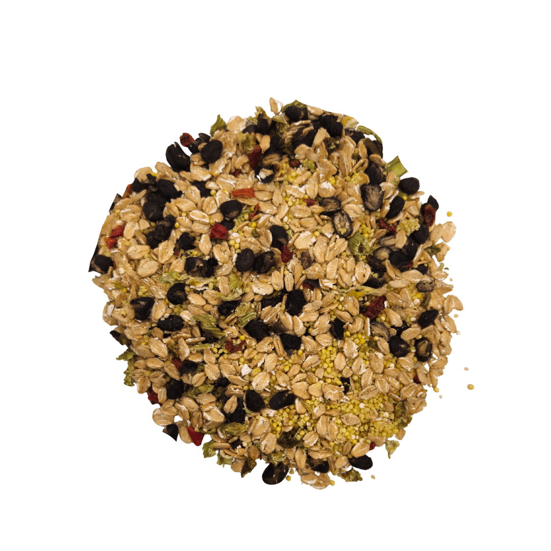 Cajun Bean - Feast on the Fly