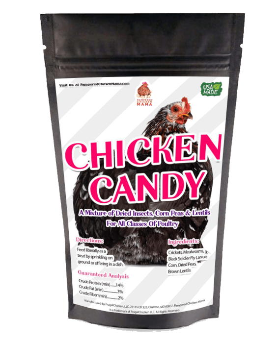 Chicken Candy Treat For Chickens: BloomGrubs, Mealworms, Crickets, Corn, Peas, & More!