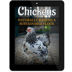 Chickens: Naturally Raising A Sustainable Flock Digital Version