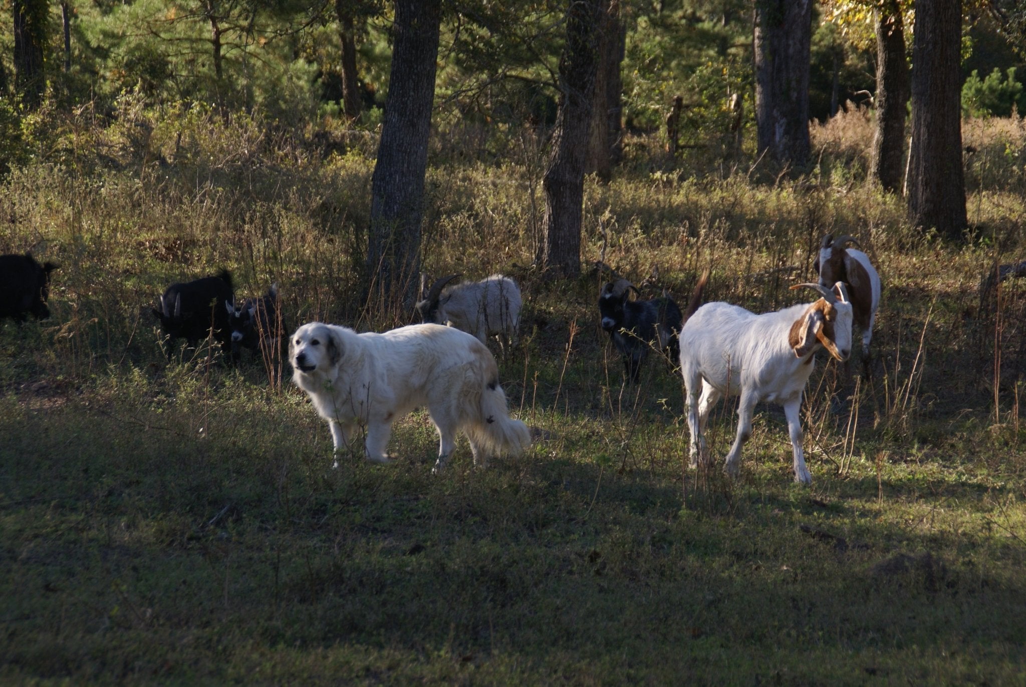 Circle of Friends - Sanctuary Support