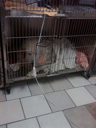 Circle of Friends - Sanctuary Support