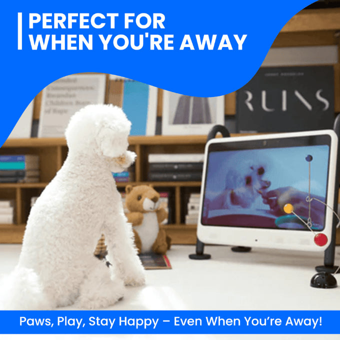 DOGSPLAY - SMART TV FOR DOGS