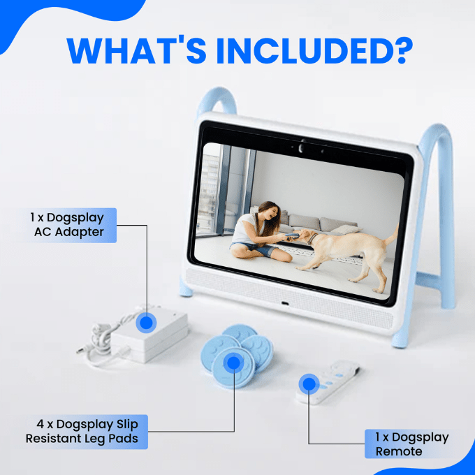DOGSPLAY - SMART TV FOR DOGS