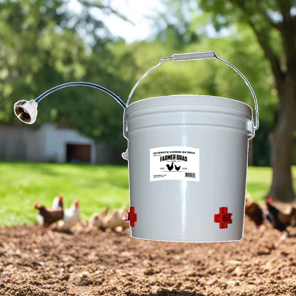 Automatic Chicken Waterer (2 Gallon) 2 Gallons 1 4"