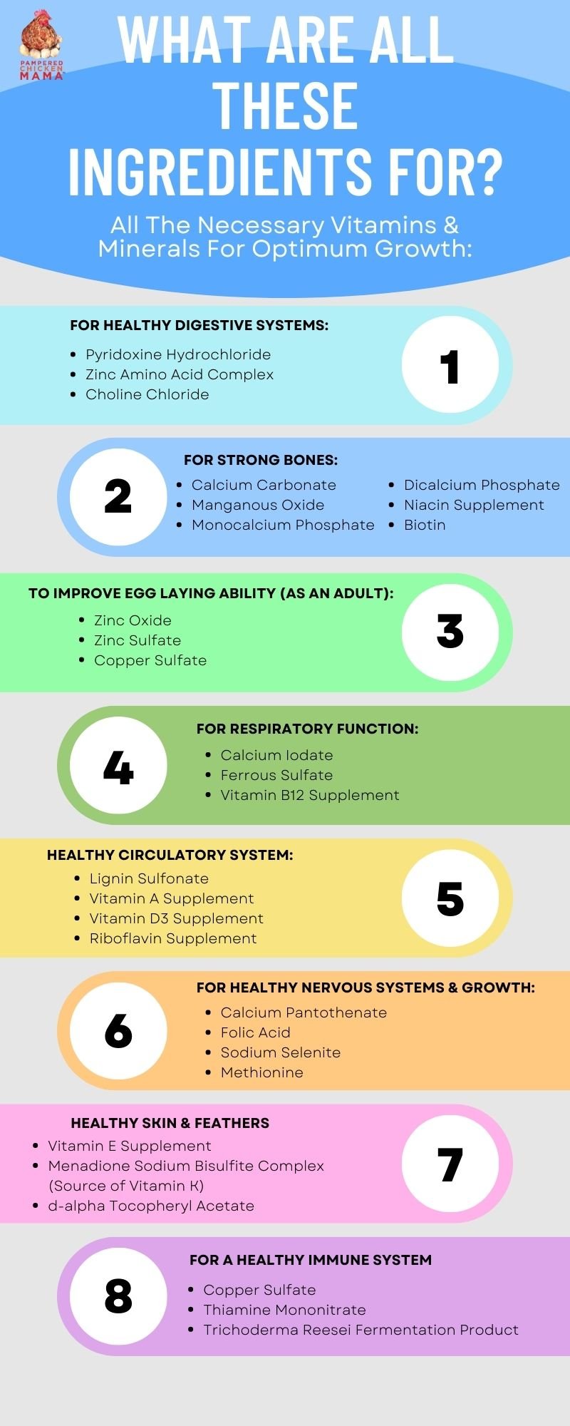 Herbal Chick Starter & Grower Feed With Oregano & Garlic For Baby Chicks
