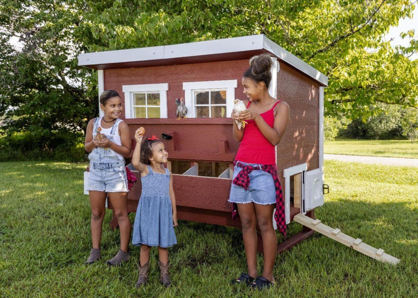 Large Chicken Coop - Up to 15 Chickens - Chicken Coops