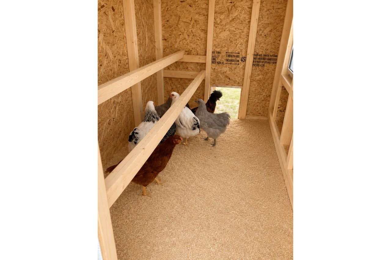 Large Chicken Coop - Up to 15 Chickens - Chicken Coops