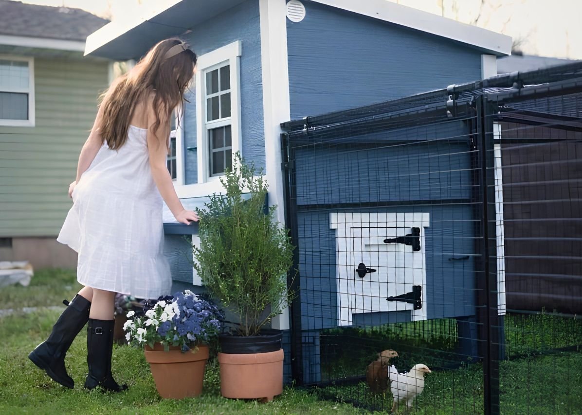 Large Chicken Coop - Up to 15 Chickens - Chicken Coops