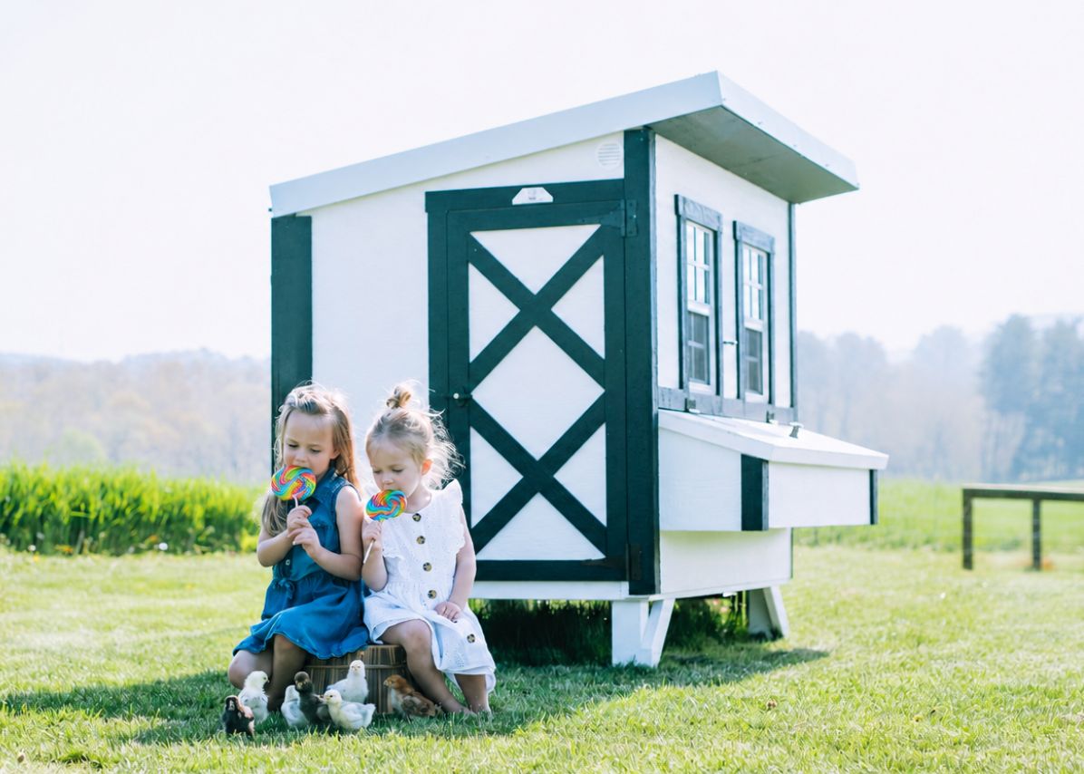 Large Chicken Coop - Up to 15 Chickens - Chicken Coops