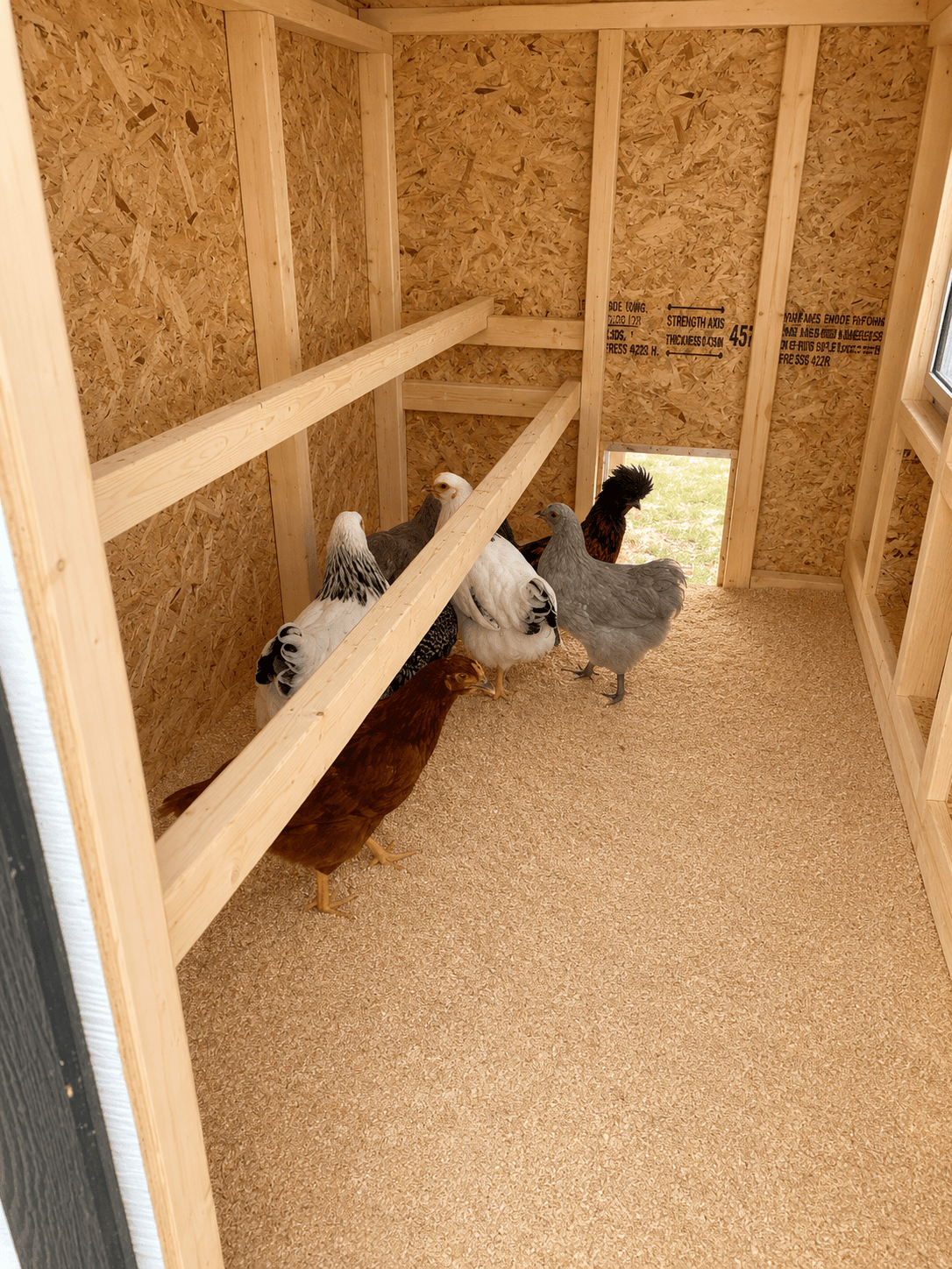 Large Chicken Coop - Up to 15 Chickens - Chicken Coops