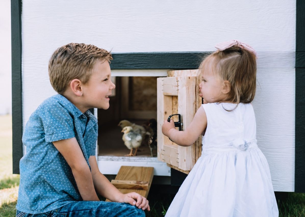 Large Chicken Coop - Up to 15 Chickens - Chicken Coops