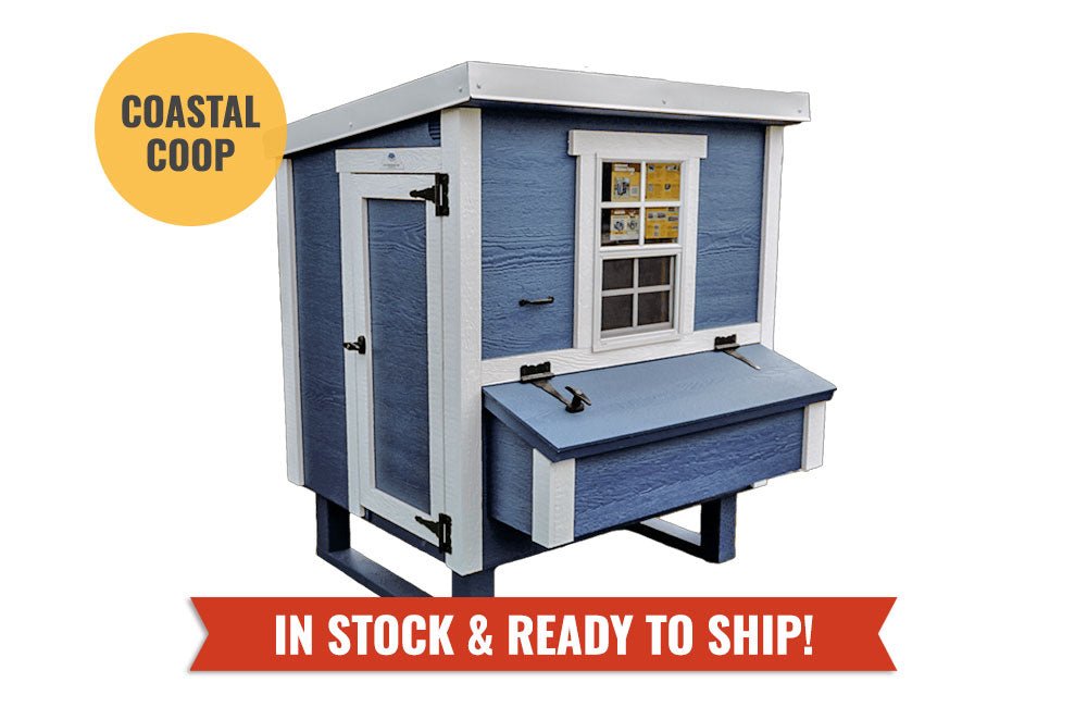Medium Chicken Coop - Up to 10 Chickens