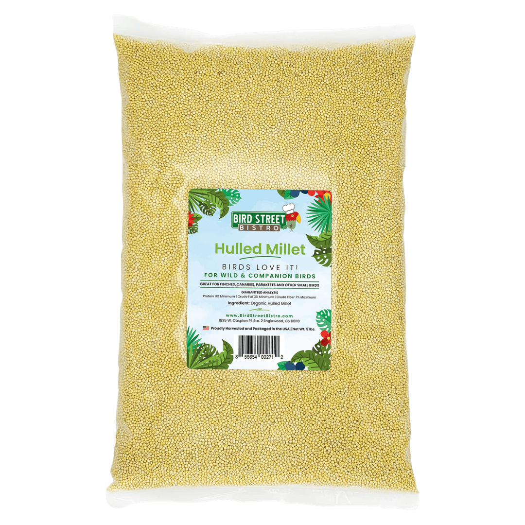 Organic Hulled Millet - 5 lbs.