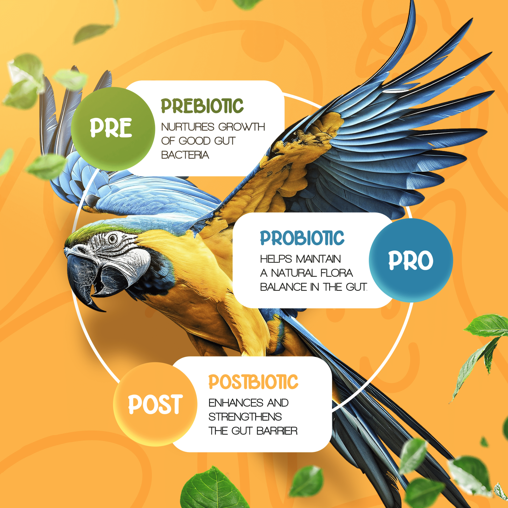 Organic Pre+Pro+Post Biotics Blend for Parrots - 1.06oz