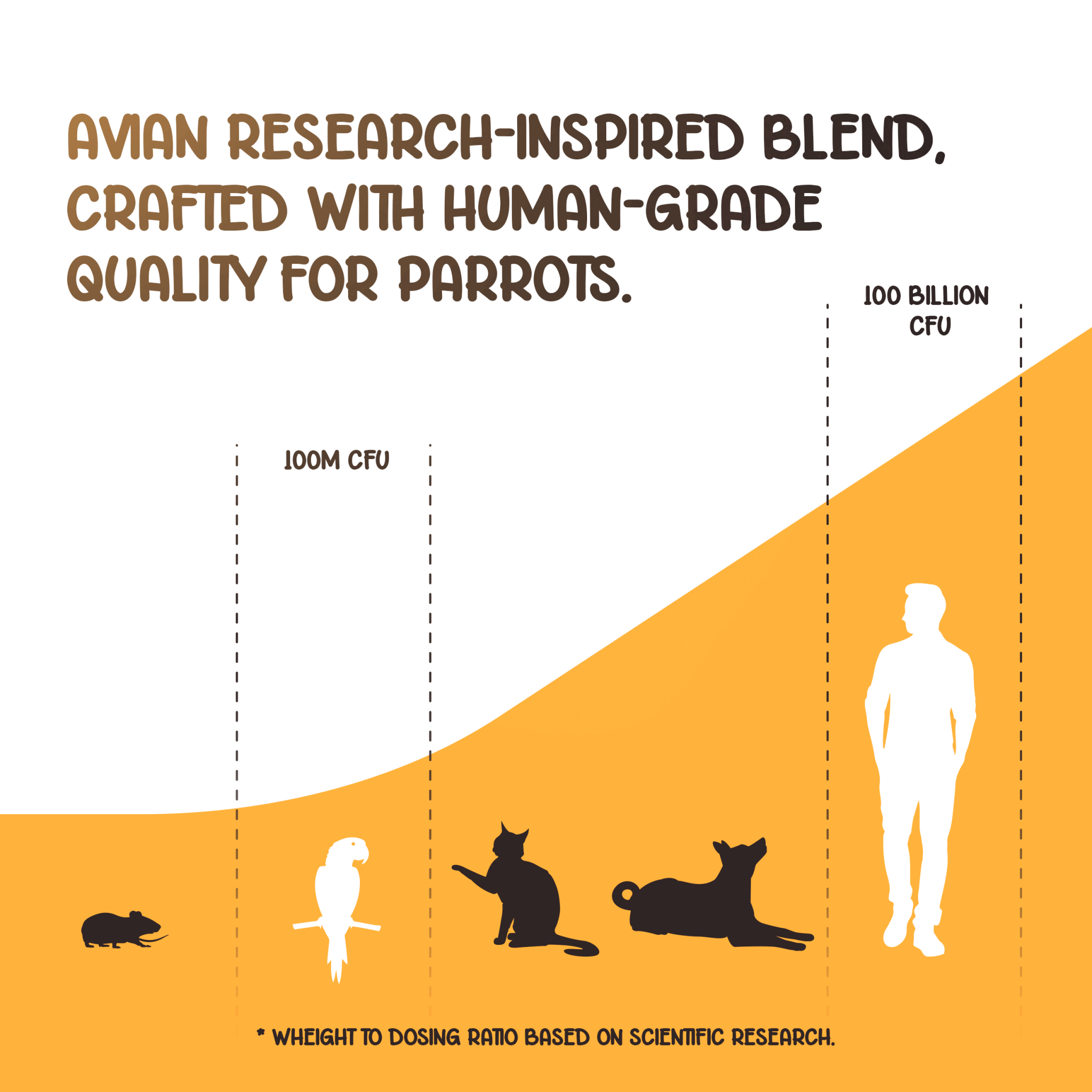 Organic Pre+Pro+Post Biotics Blend for Parrots - 1.06oz