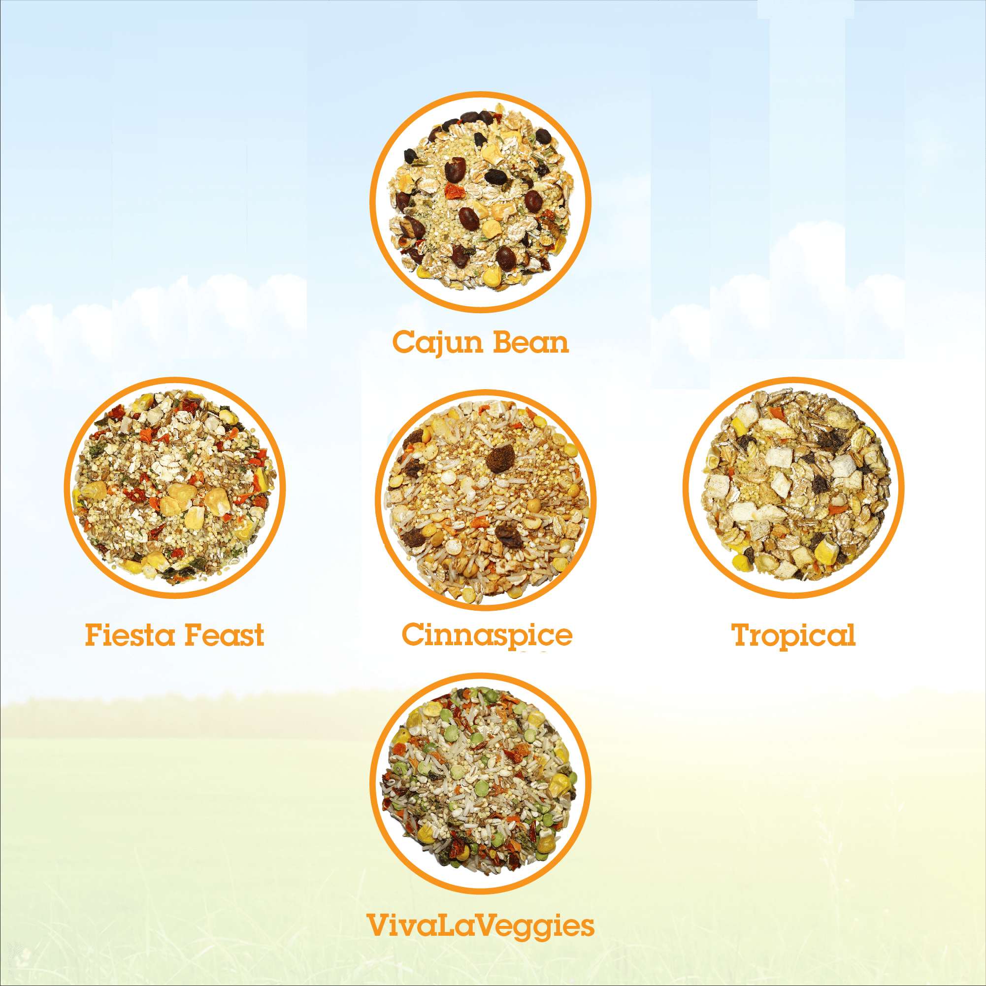 Parrot Food Sample Pack