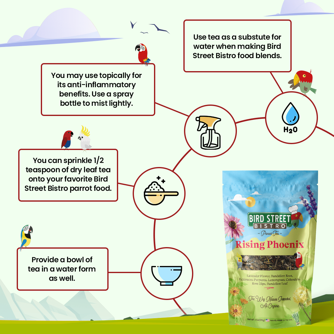 Parrot Food & Tea Starter Pack