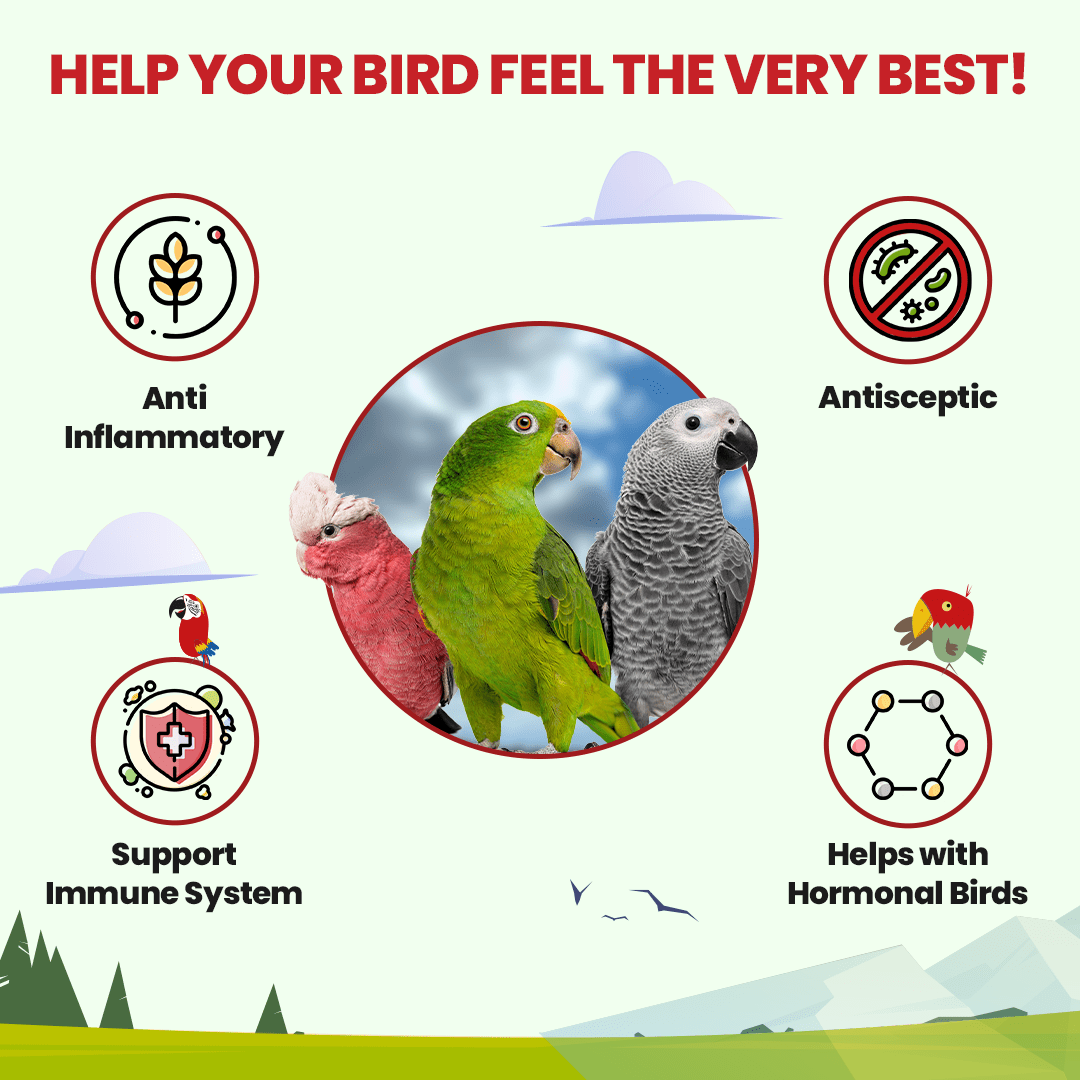 Parrot Tea Bundle Pack