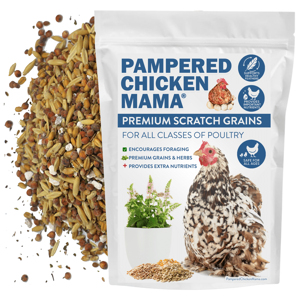 Premium Chicken Scratch With Herbs To Encourage Positive Behaviors