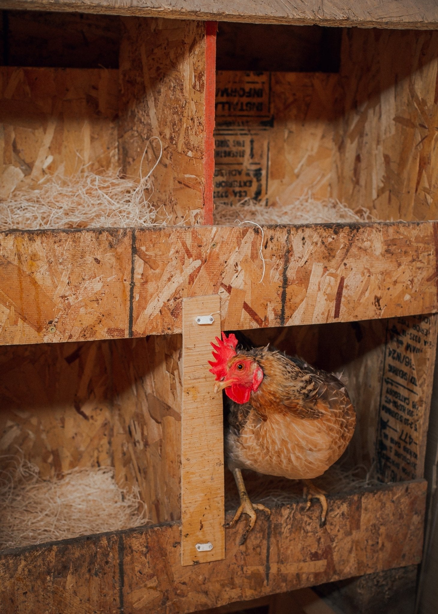 Premium Nesting Pads 10 Pack