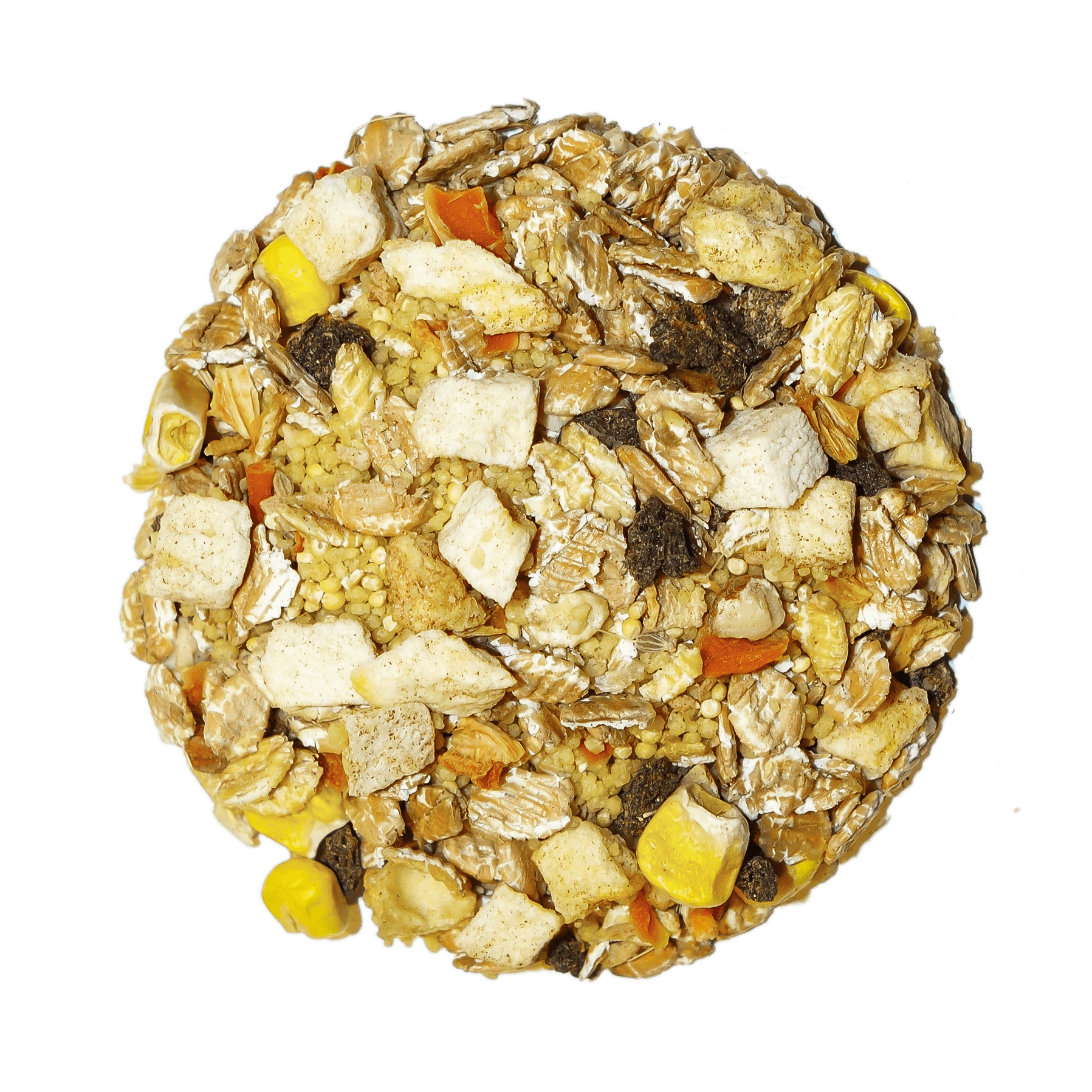 Tropical - Feast on the Fly