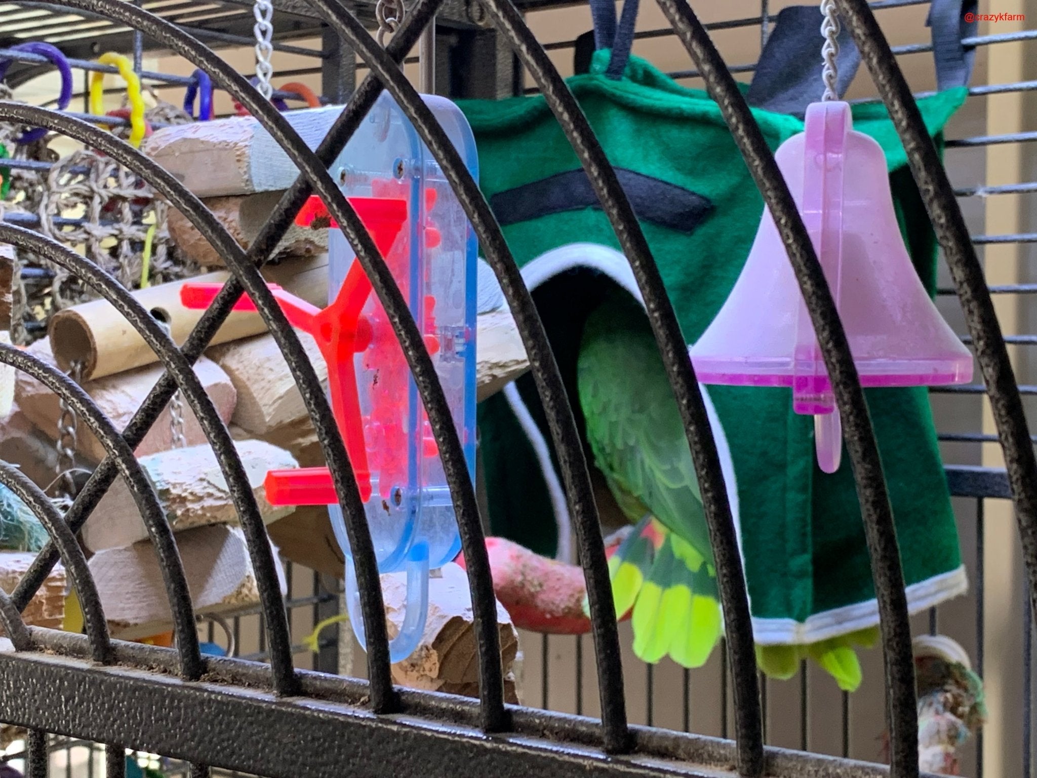 Avian Haven Hut for Pet Birds